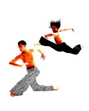 Complexions Contemporary Ballet