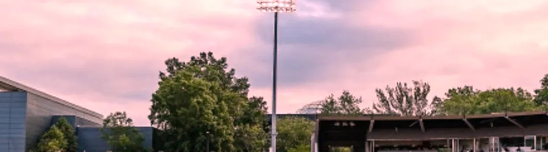 Georgia Bulldogs Baseball