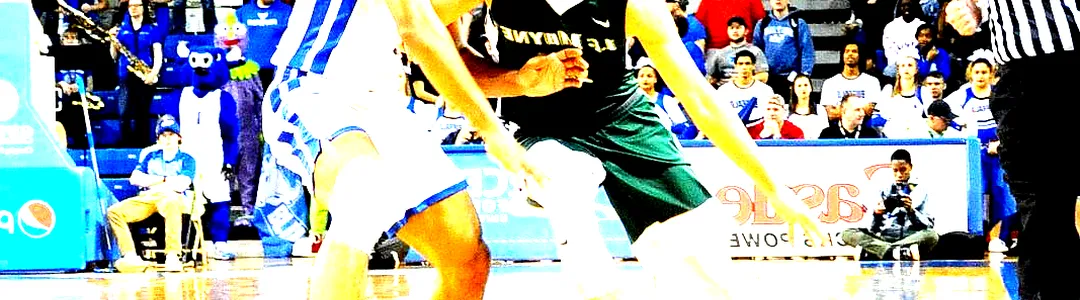 Le Moyne Dolphins Basketball