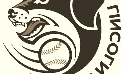 Lincoln Saltdogs