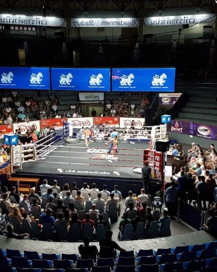 Banana Ball World Tour