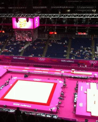 Dynasty Combat Sports: Ring Rivals IV