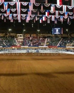 Extreme Bull Riding and BBQ